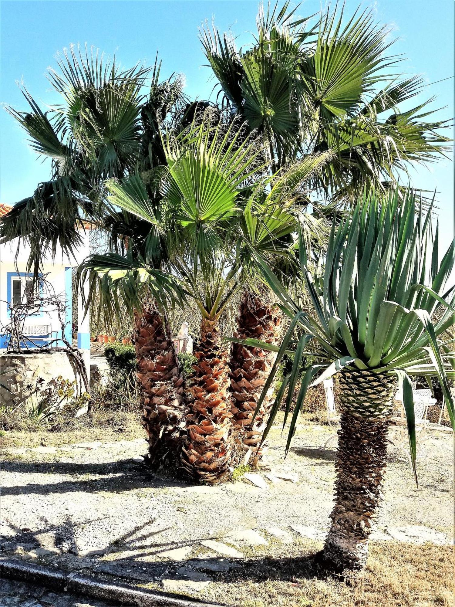 فيلا Agua Rocha Serra de Mangues الغرفة الصورة