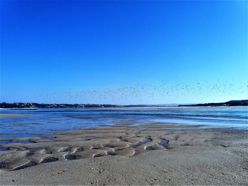 فيلا Agua Rocha Serra de Mangues المظهر الخارجي الصورة